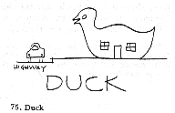 Duck